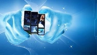 品牌巧借电商达人种草，智鹊网强势助攻互联网销售