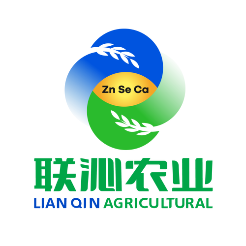 黄震的创业之路 食品互联网销售的新风向